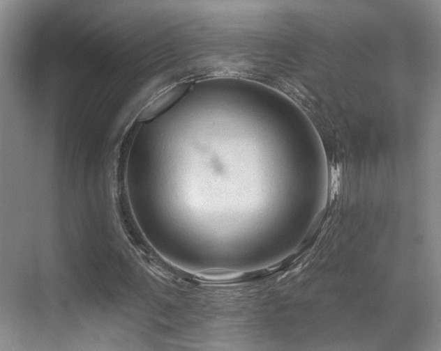 X0000069790291200605191045