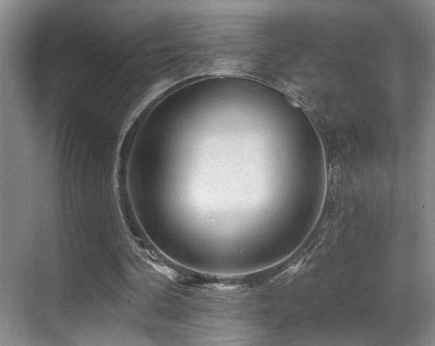 X0000069790292200605191045