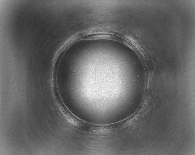 X0000069790293200605191045