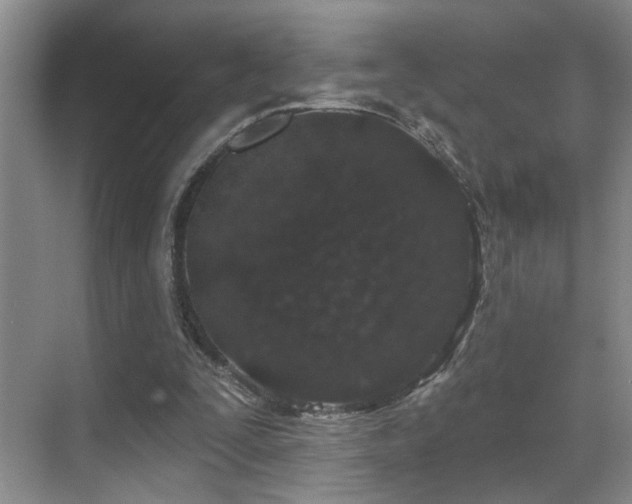 X0000069790295200605191045