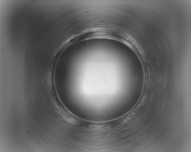 X0000069790297200605191045