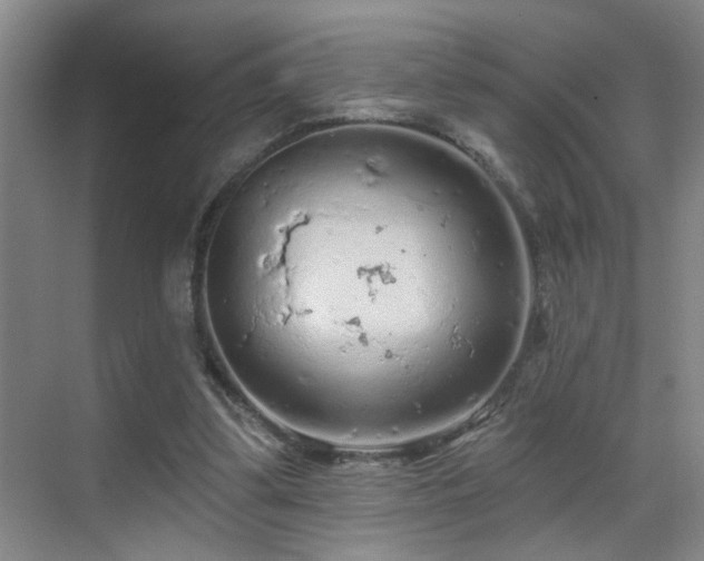 X0000069790299200605191045