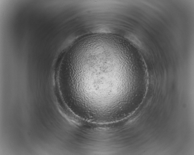 X0000069790302200605191045