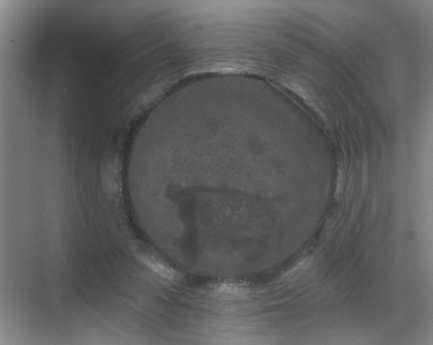 X0000069790303200605191045