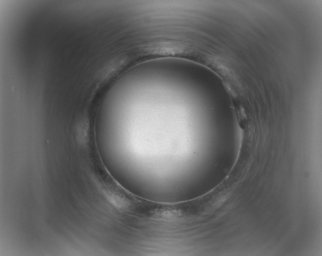 X0000069790304200605191045