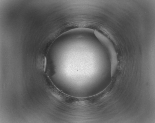 X0000069790307200605191045