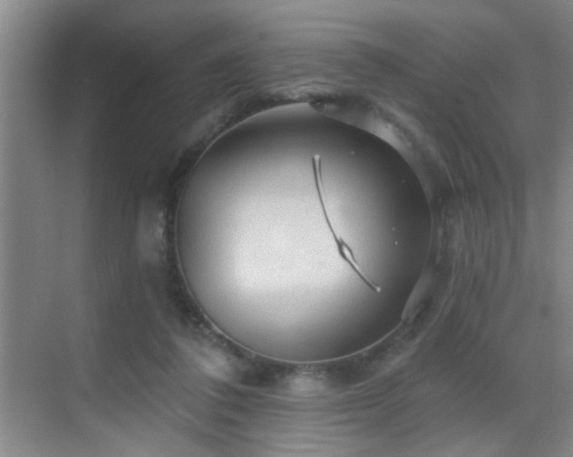 X0000069790308200605191045