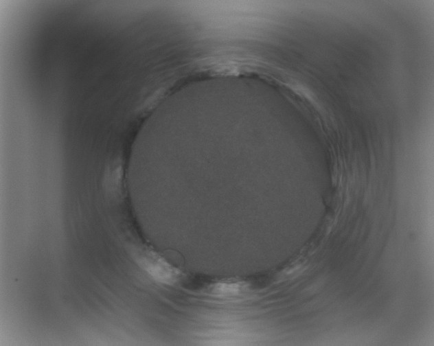 X0000069790314200605191045