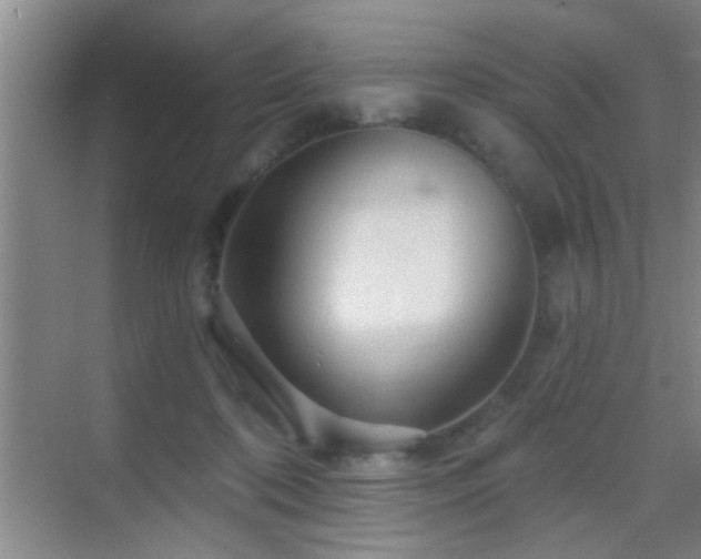 X0000069790316200605191045