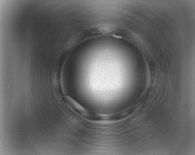 X0000069790317200605191045