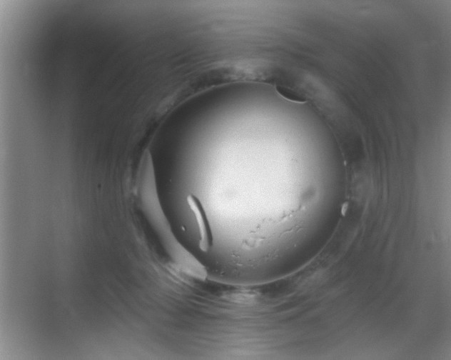 X0000069790318200605191045