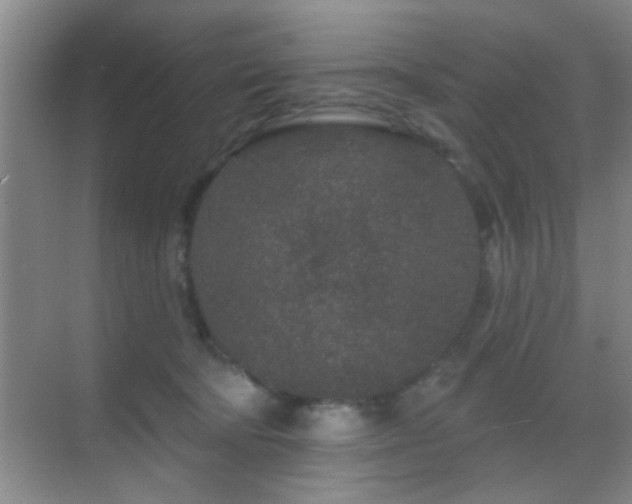 X0000069790322200605191045