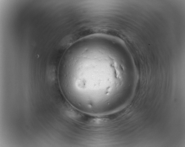 X0000069790323200605191045