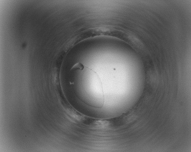 X0000069790328200605191045