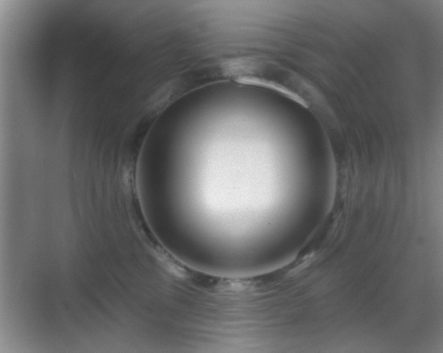 X0000069790329200605191045