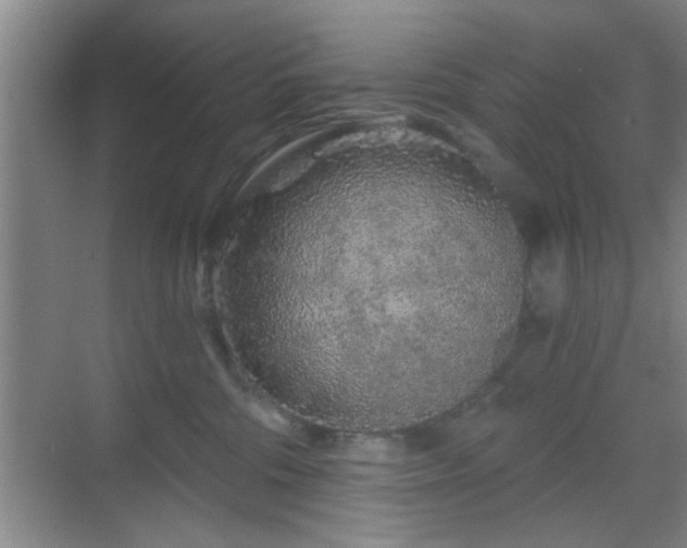 X0000069790330200605191045