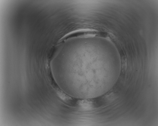 X0000069790331200605191045