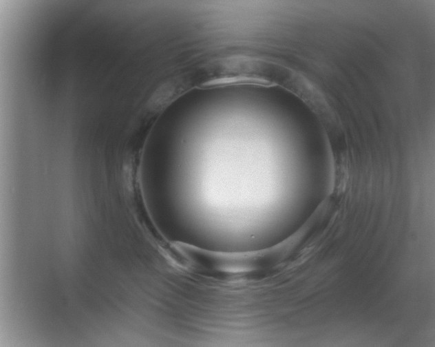 X0000069790333200605191045