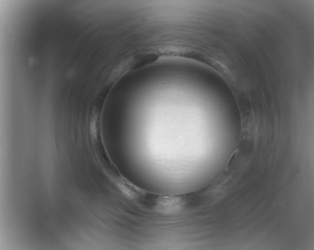 X0000069790334200605191045