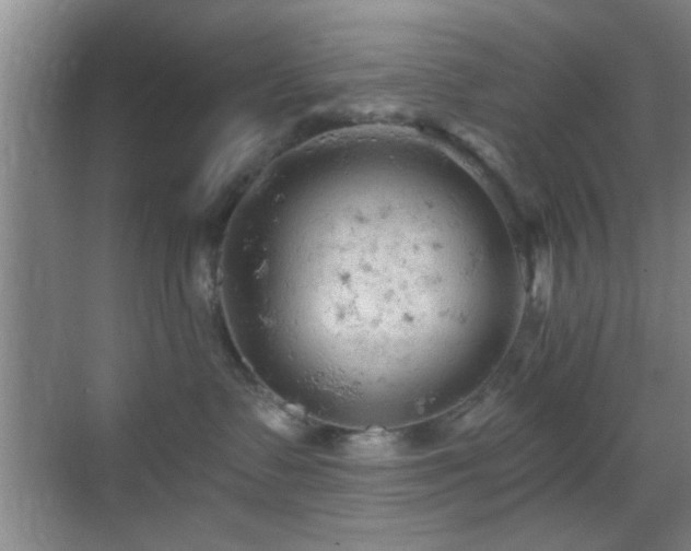 X0000069790335200605191045