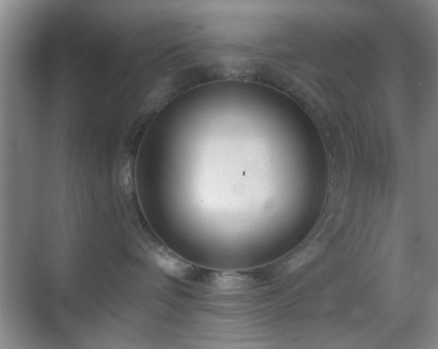 X0000069790336200605191045