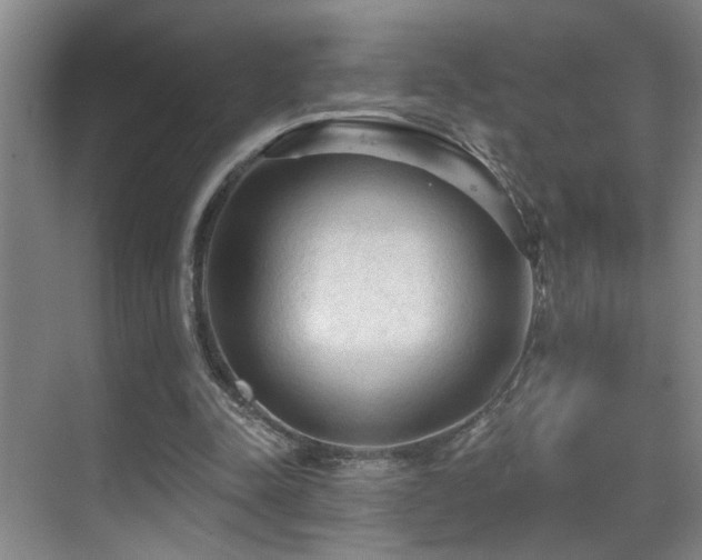 X0000069790342200605191044