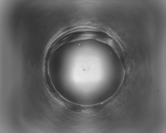 X0000069790344200605191044