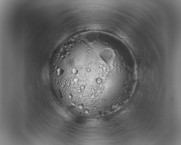 X0000069790347200605191044