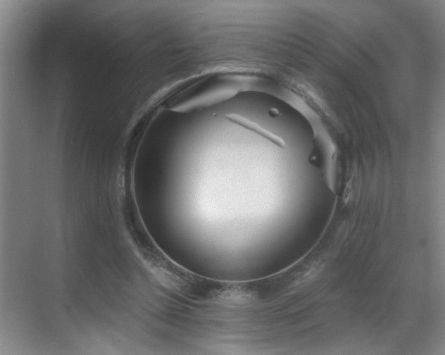 X0000069790348200605191044