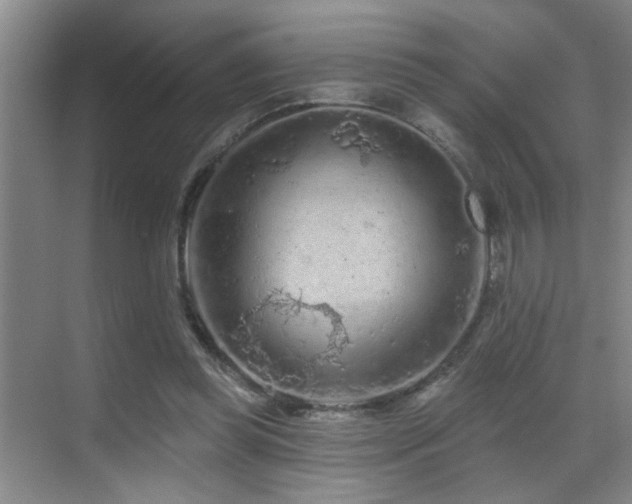 X0000069790349200605191044