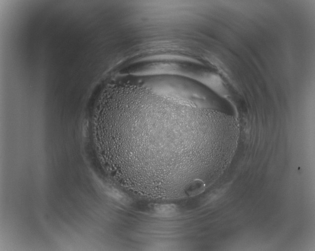 X0000069790355200605191044