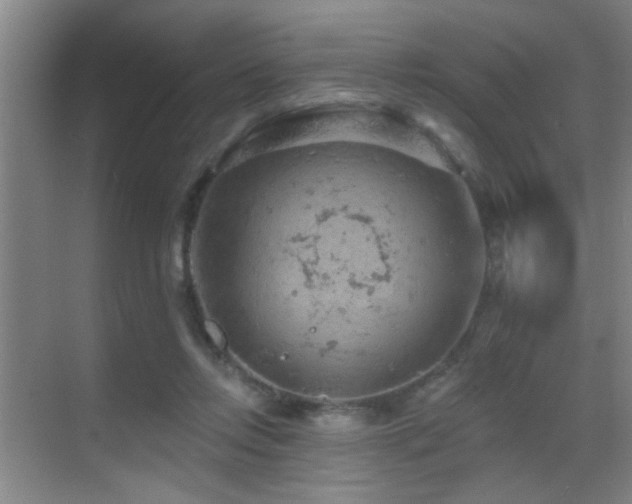 X0000069790358200605191044