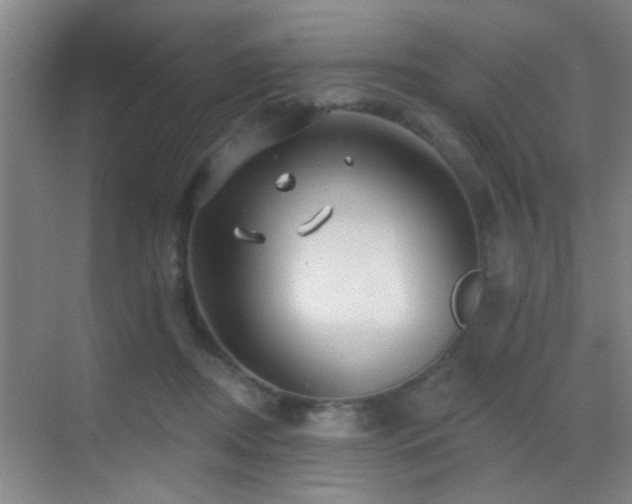 X0000069790362200605191044