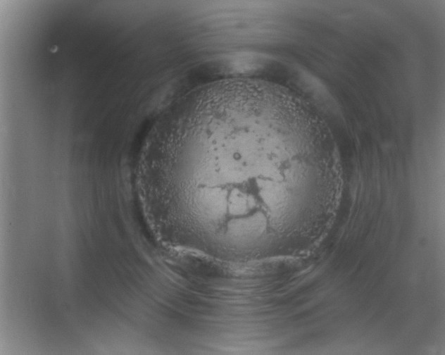 X0000069790366200605191044