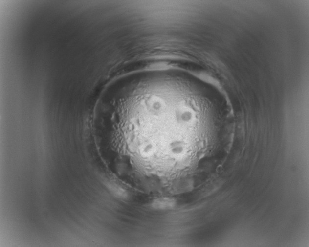 X0000069790369200605191044