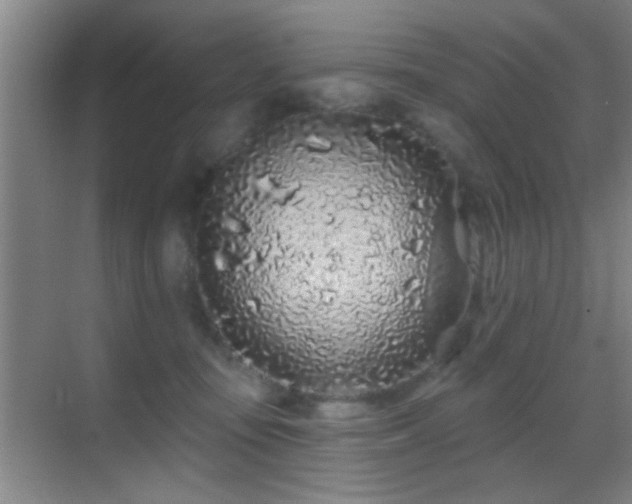 X0000069790371200605191044