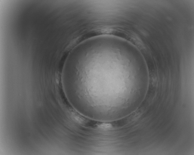 X0000069790374200605191044