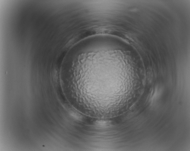 X0000069790375200605191044