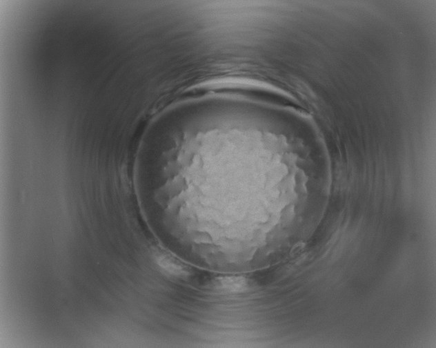 X0000069790377200605191044