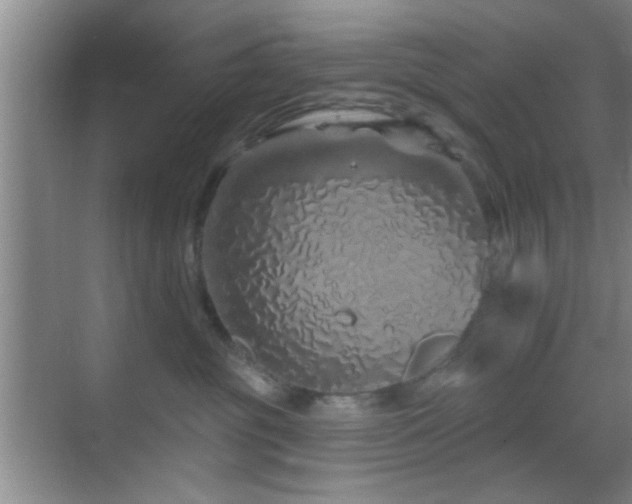 X0000069790381200605191045