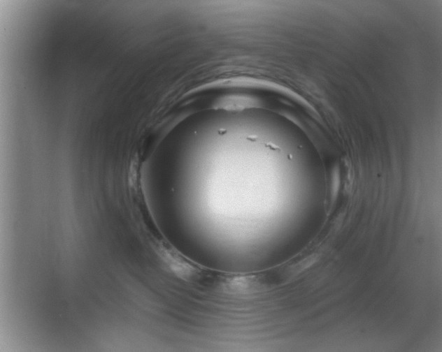 X0000069790382200605191045