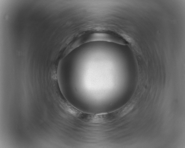 X0000069790384200605191045