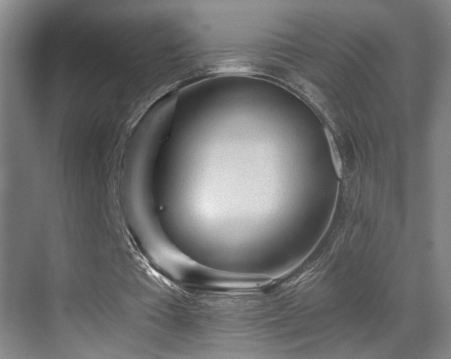 X0000069790385200605191044