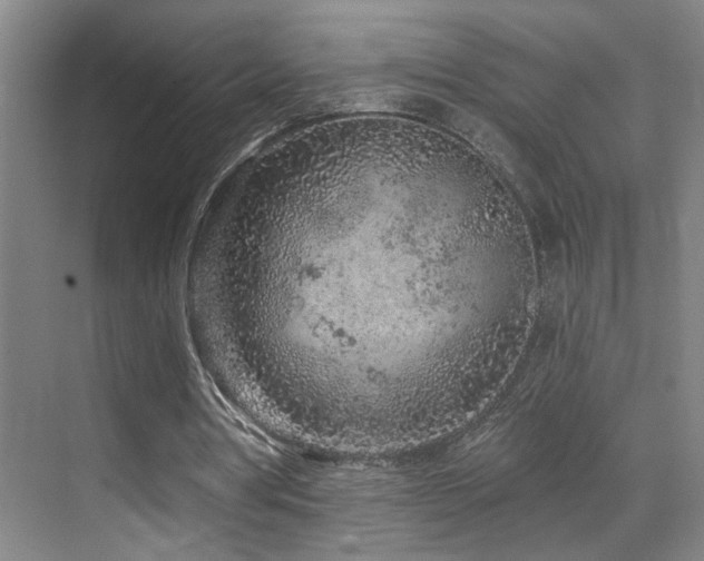 X0000069790386200605191044