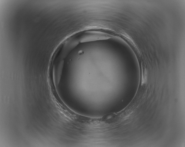 X0000069790387200605191044