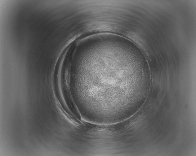 X0000069790390200605191044