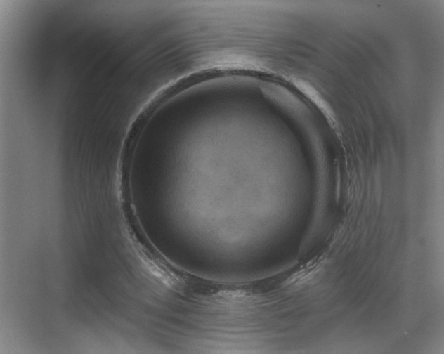 X0000069790391200605191044