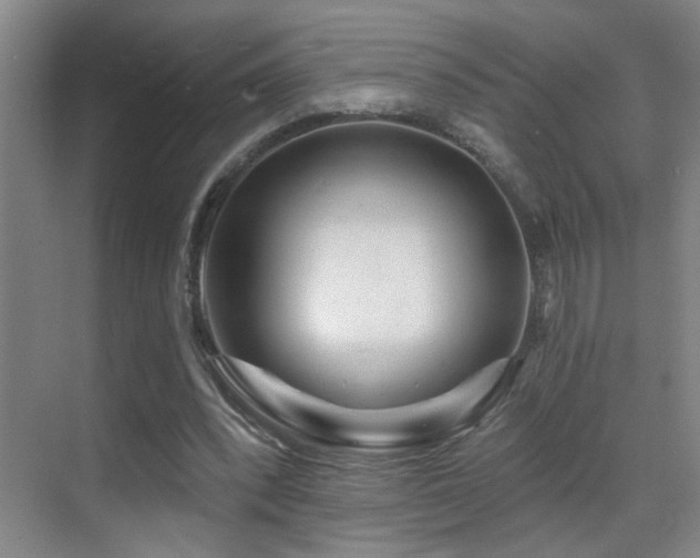 X0000069790392200605191044