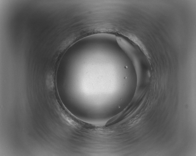 X0000069790393200605191044