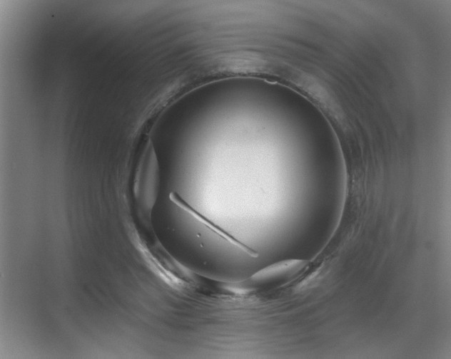 X0000069790397200605191044